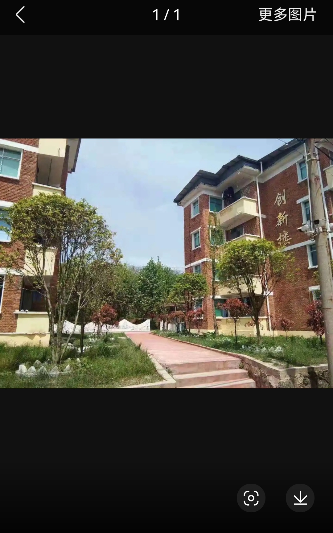 山东中医药大学校徽山东中医药大学校徽高清图