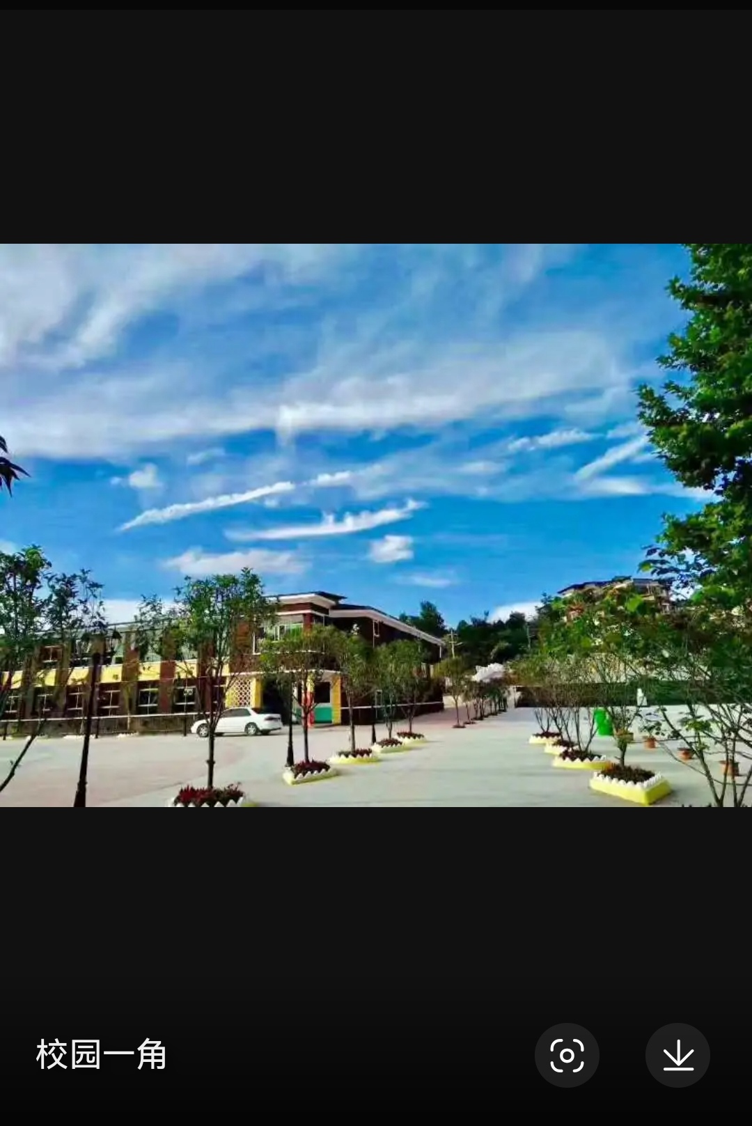 山东中医药大学校徽山东中医药大学校徽高清图