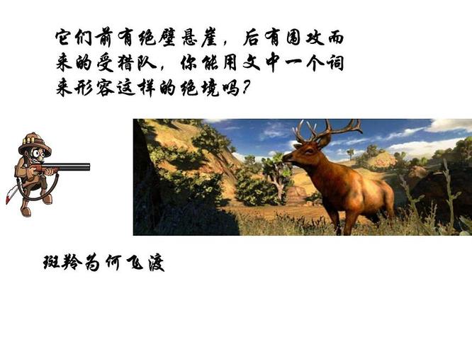 斑羚飞渡ppt斑羚飞渡ppt课件免费