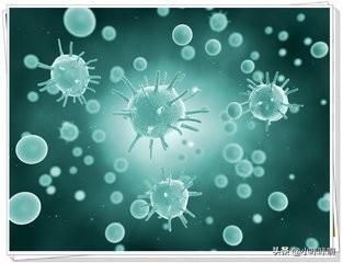 微生物研究所游戏攻略微生物研究所游戏下载入口 微生物研究所游戏攻略微生物研究所游戏下载入口