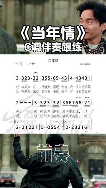 当年情当年情歌词