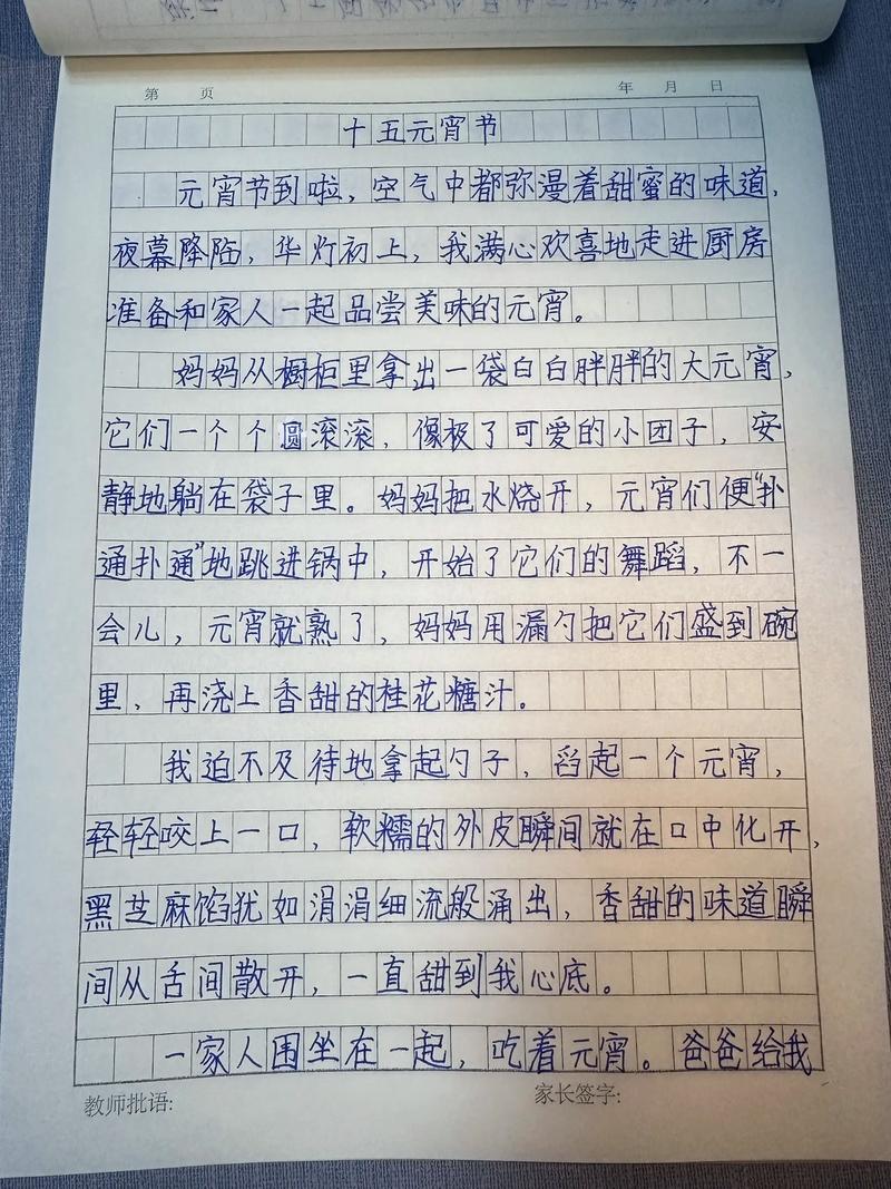 关于元宵节的日记关于元宵节的日记300字